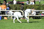 SBM_50304