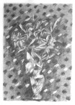 Image with Noise 20in x 30 in