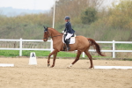 SBM_006700