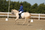 SBM_012705