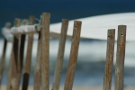 Sea Focused