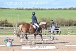 BPP_9097