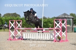 BPP_8195