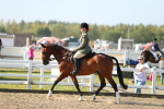 SBM_01212