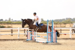 SBM_001196