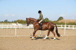 SBM_02240