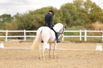 SBM_004666