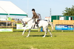 SBM_10923