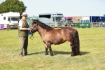 SBM_01856