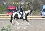 BPP_9171