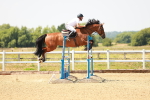 SBM_001849