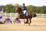 SBM_03456