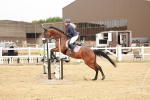 SBM_008030