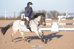 Cls 18+19 50cm and Club + Schools 60cm portfolio