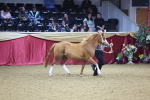 SBM_18935