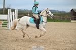70-75cm Arena Eventing portfolio