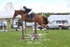 BPP_6567