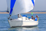 190629 TELLINA GBR7391T 1Y3A9879