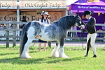 SBM_11539
