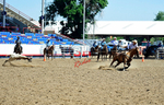 3HRodeo8-11-25_PRCASteer_02601_