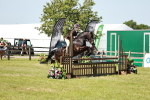 SBM_17648