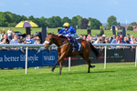 270526-Race 7-King Of The Jungle-3714