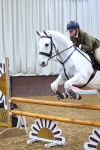 Class 38 - Unaffiliated Novice Plaited WHP portfolio