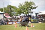 SBM_15322