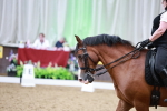 SBM_014351