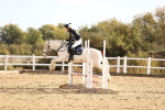SBM_000563