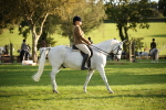 SBM_54376