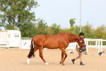 SBM_16587