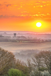 z3199 Misty Sunrise over Godshill
