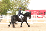 SBM_03865