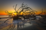 Driftwood Beach