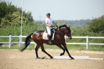 SBM_009659