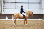 SBM_000668