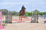 BPP_3875