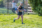 The Finish-1412
