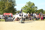 SBM_39288