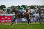 Race 6 20.40pm Churchill Tyres Handicap portfolio