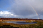 Lauwersmeer National Park, Friesland Province, Netherlands