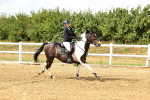 SBM_002779