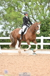 140-Kirsty.Clackworthy-Stitch.1 portfolio