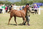 DSC07274