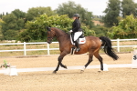 SBM_000353