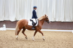 SBM_000584