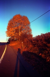 Color film portfolio