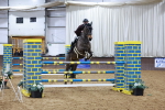 Class 13 - Redpost Equestrian Senior Foxhunter/ 1.20m Open portfolio