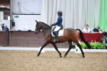 SBM_015508